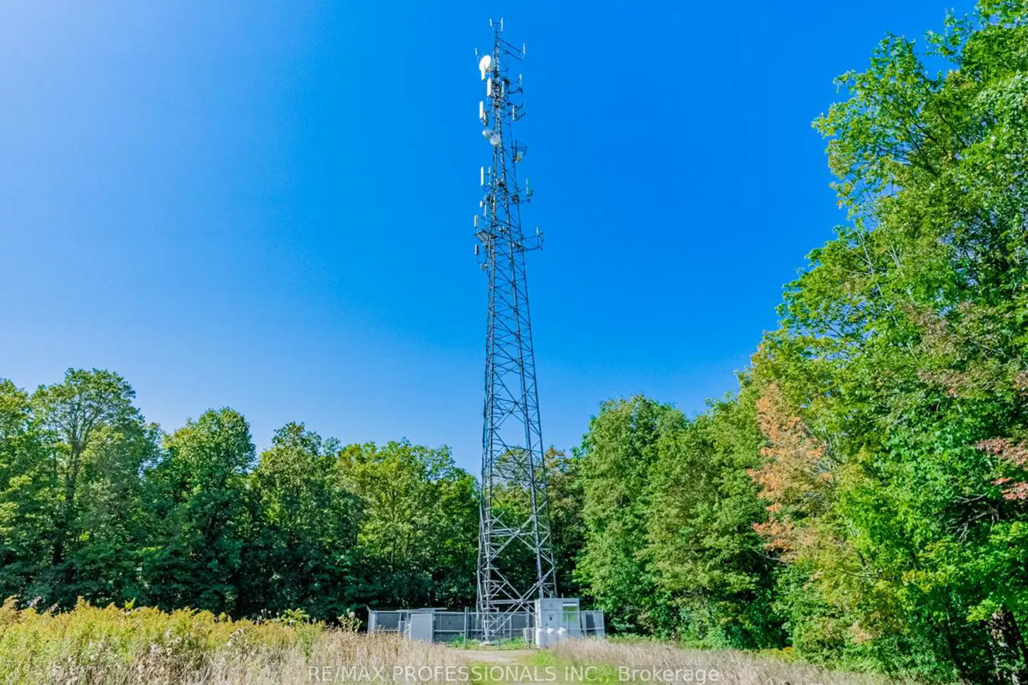 Additional image 10 of 13908 Trafalgar Road