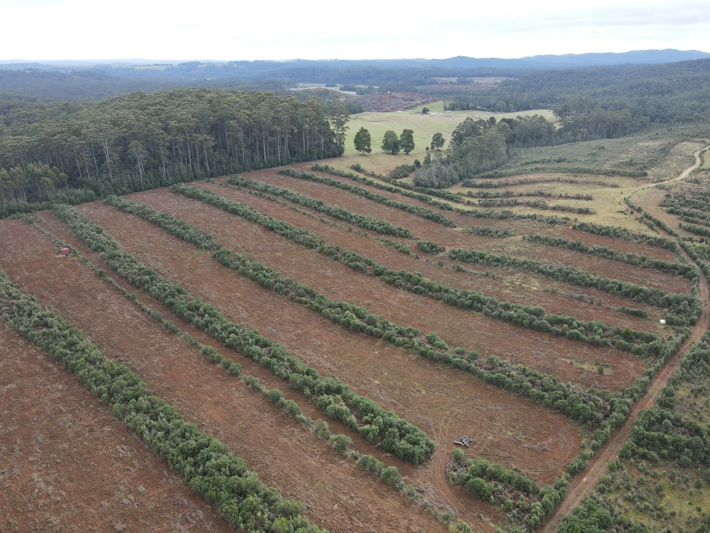 Additional image 14 of 885 Newhaven Road, Mawbanna TAS 7321