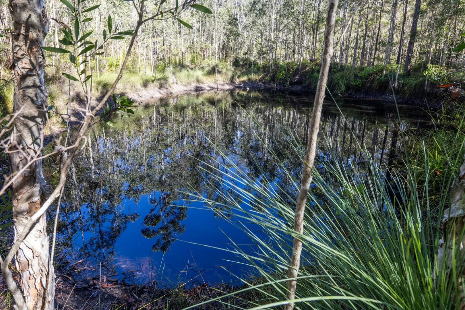 Additional image 23 of 103 Kawana Lane, Barraganyatti NSW 2441