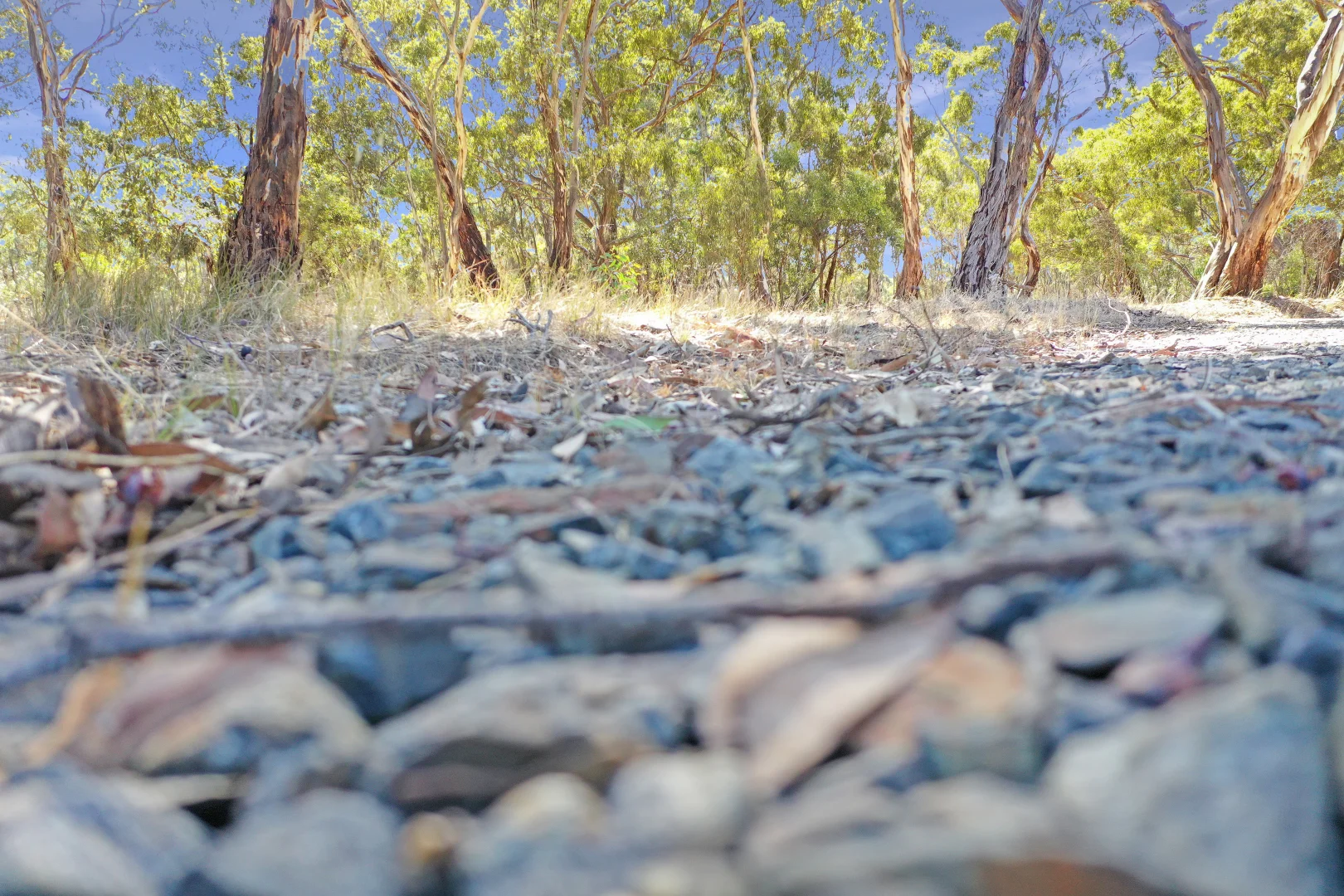 Additional image 14 of 37 Red Hill Road, Deep Lead Via, Stawell VIC 3380