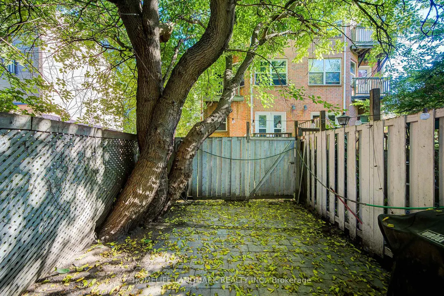 Additional image 20 of 237 Ontario Street