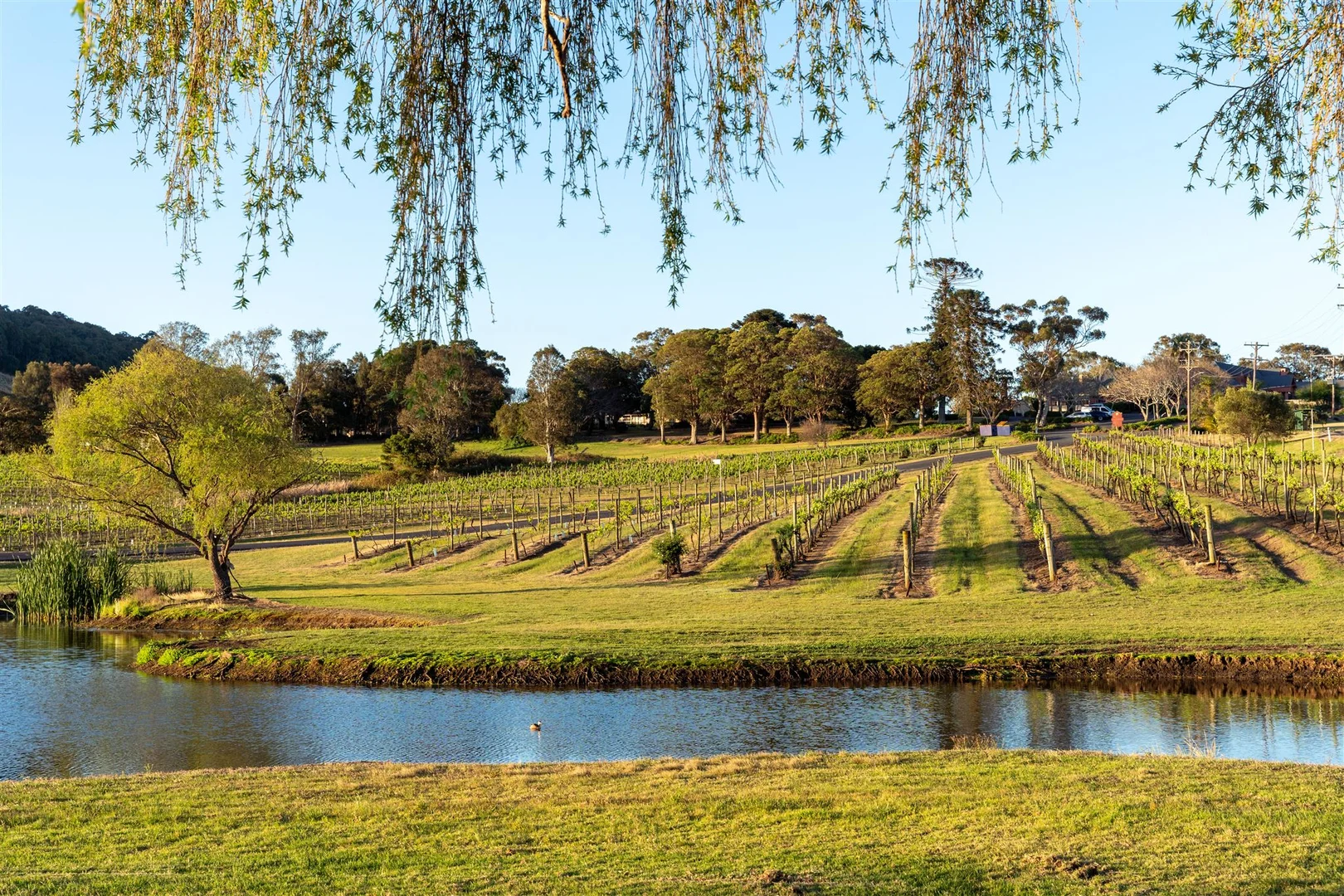 Additional image 5 of 1335 Bolong Road, Coolangatta NSW 2535