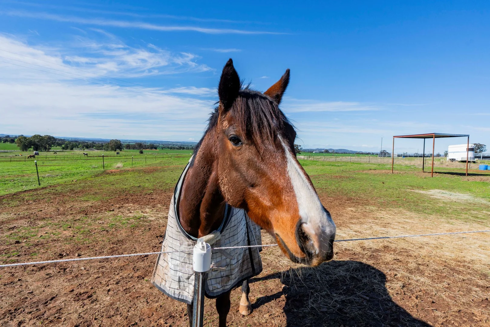 Additional image 10 of 945 The Gap Road, Wagga Wagga NSW 2650