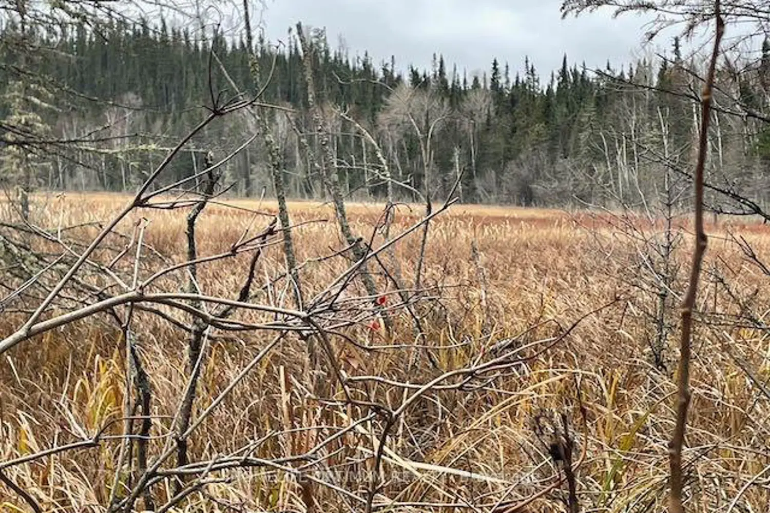 Additional image 3 of Pcl 7576 0