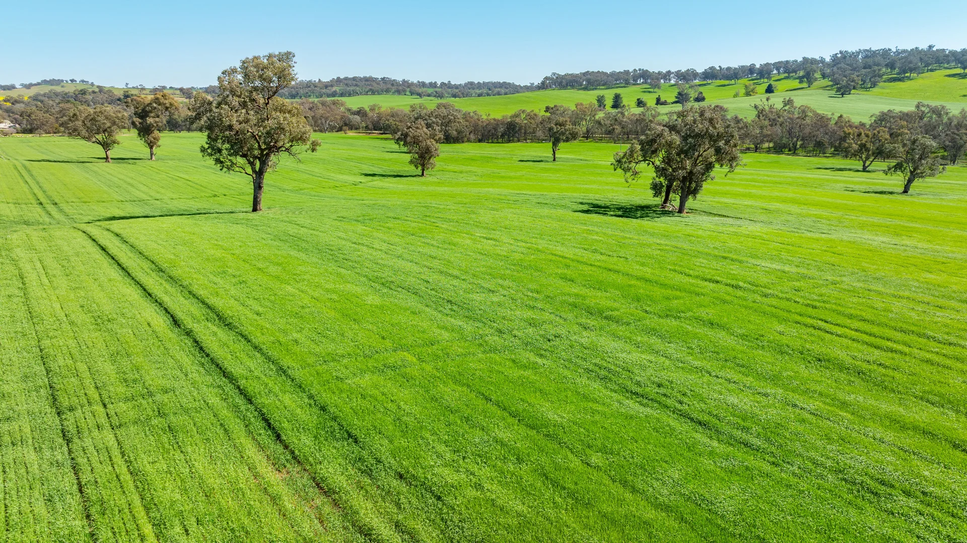 Additional image 31 of 1726 Howlong Burrumbuttock Road, Burrumbuttock NSW 2642