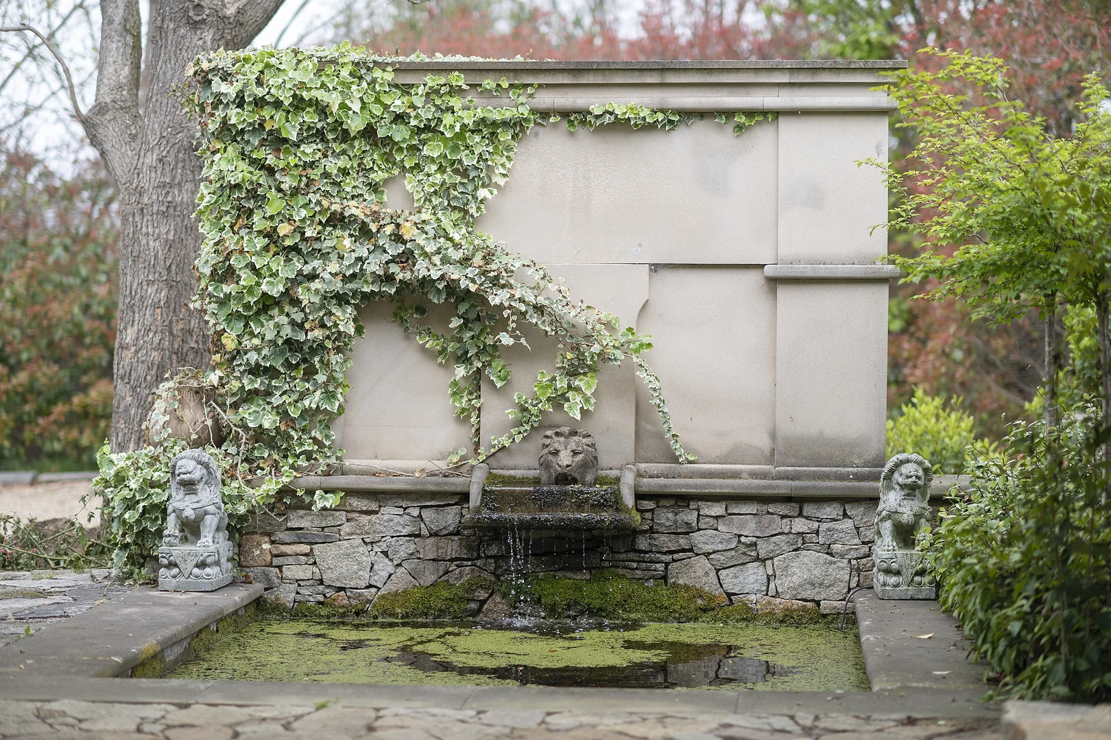 Additional image 29 of 1 Park Lane, Braidwood NSW 2622