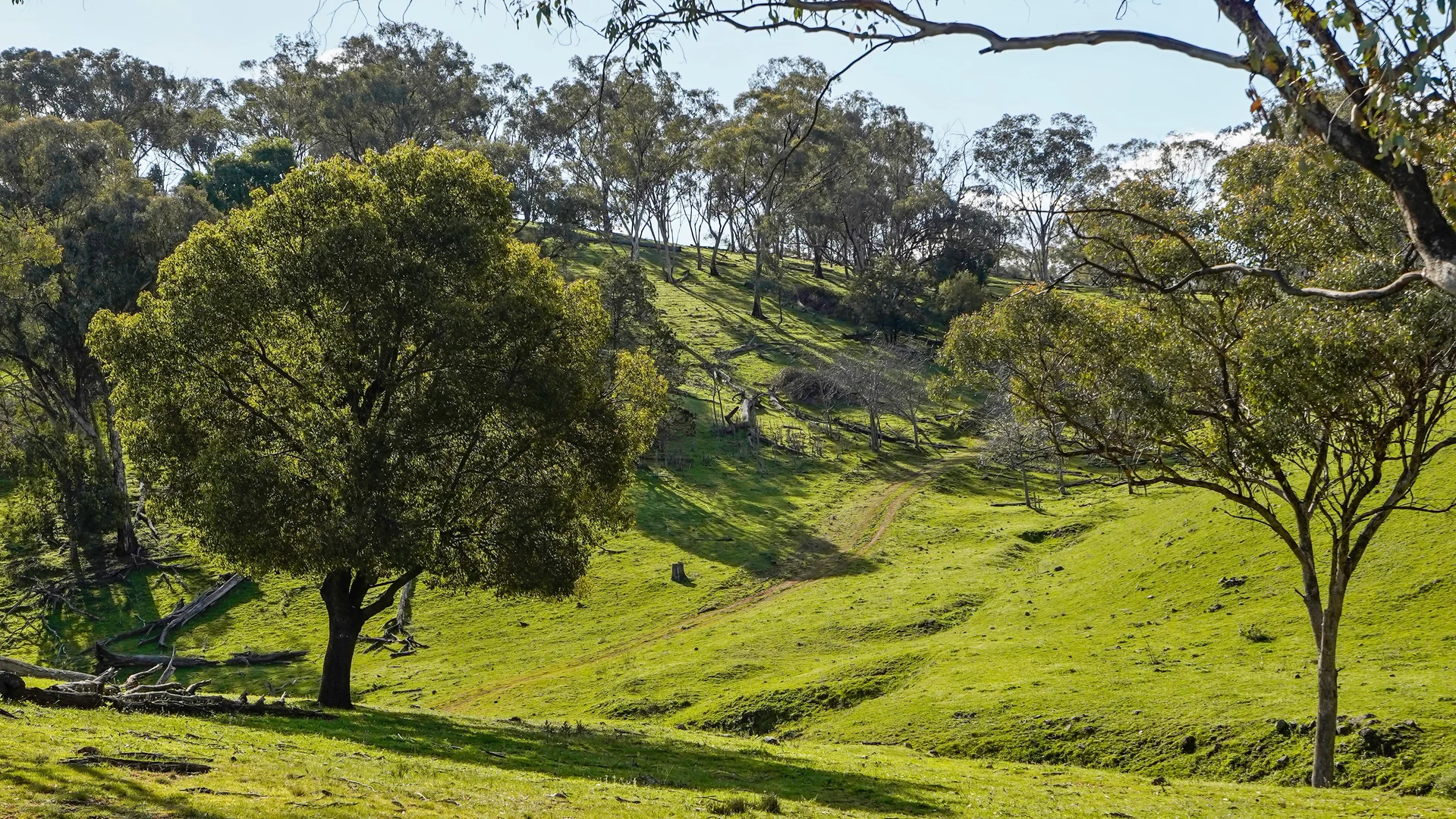 Additional image 7 of 350 Ingles Road NEUREA Via, Wellington NSW 2820