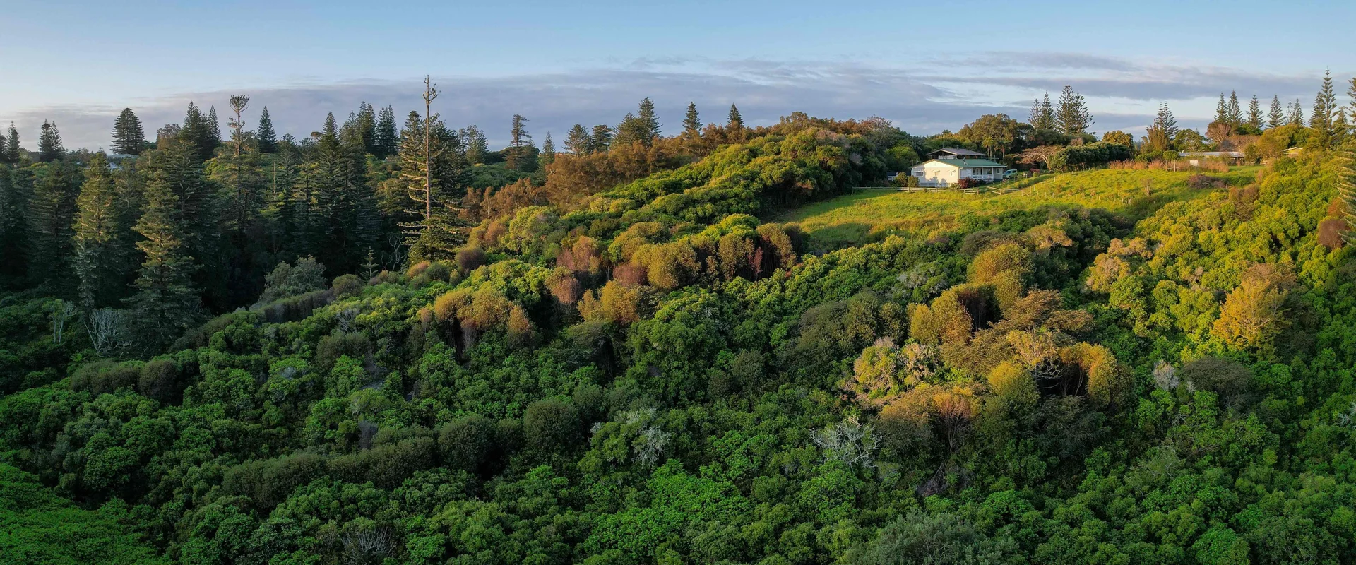 Additional image 10 of 77w6 Longridge Road, Norfolk Island NSW 2899