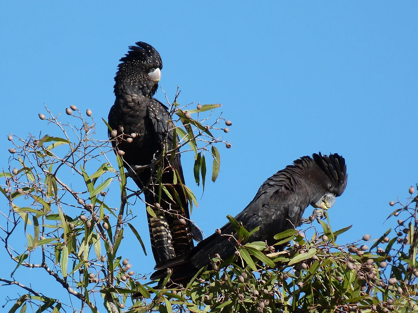 Additional image 26 of Notch Point Road, Ilbilbie QLD 4738