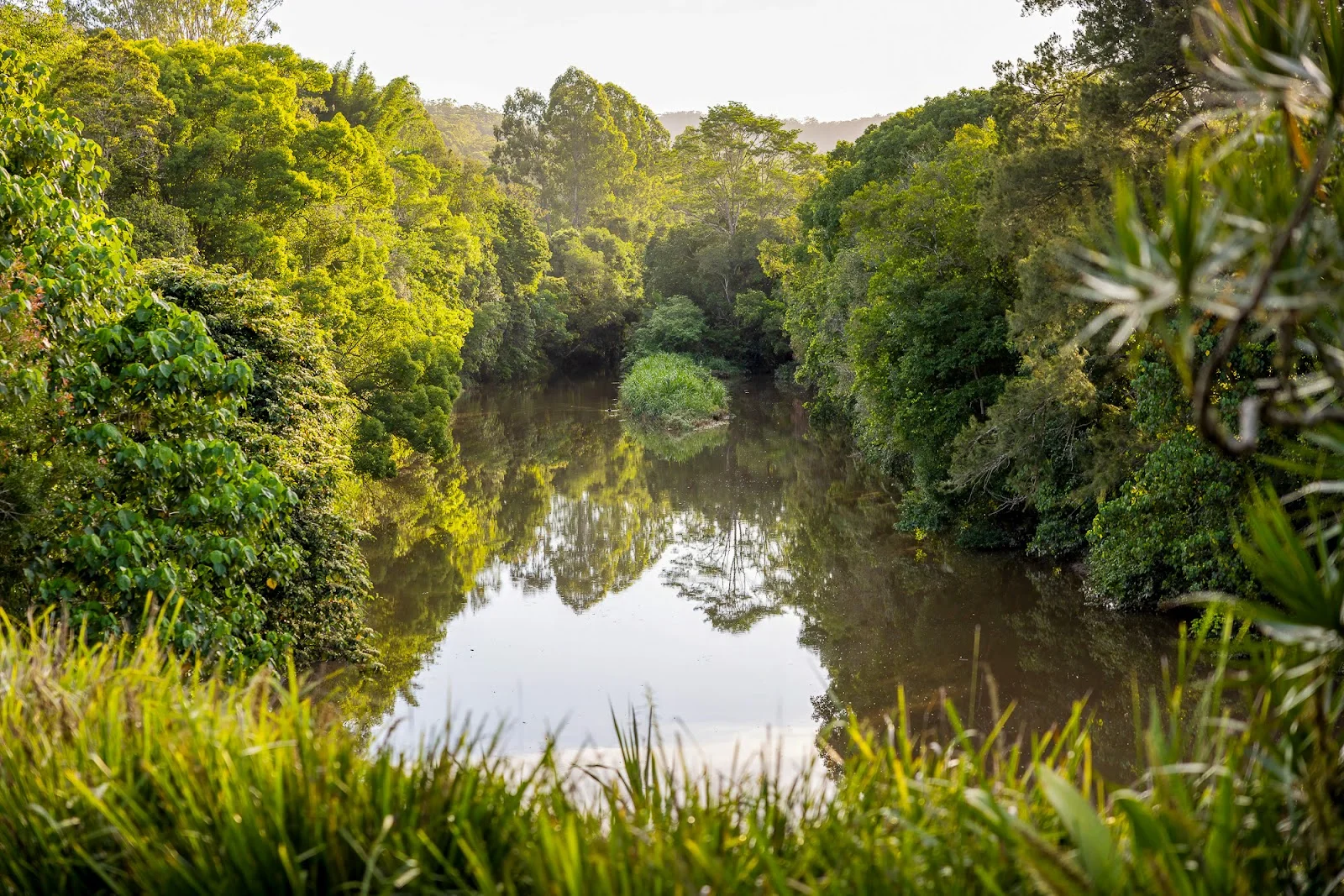 Additional image 31 of 111 Colemans Farm Road, Yandina QLD 4561