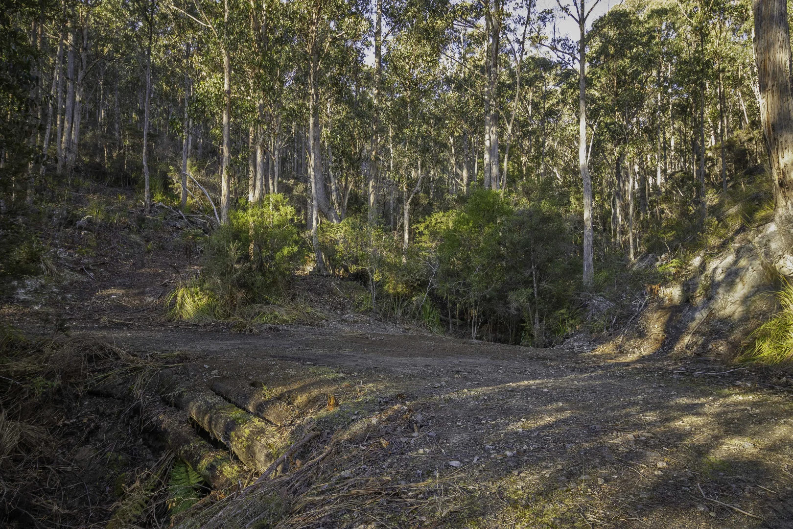 Additional image 16 of Judbury TAS 7109