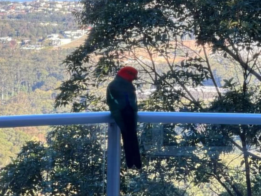 Additional image 30 of 56 Lovetts Road, Korora NSW 2450