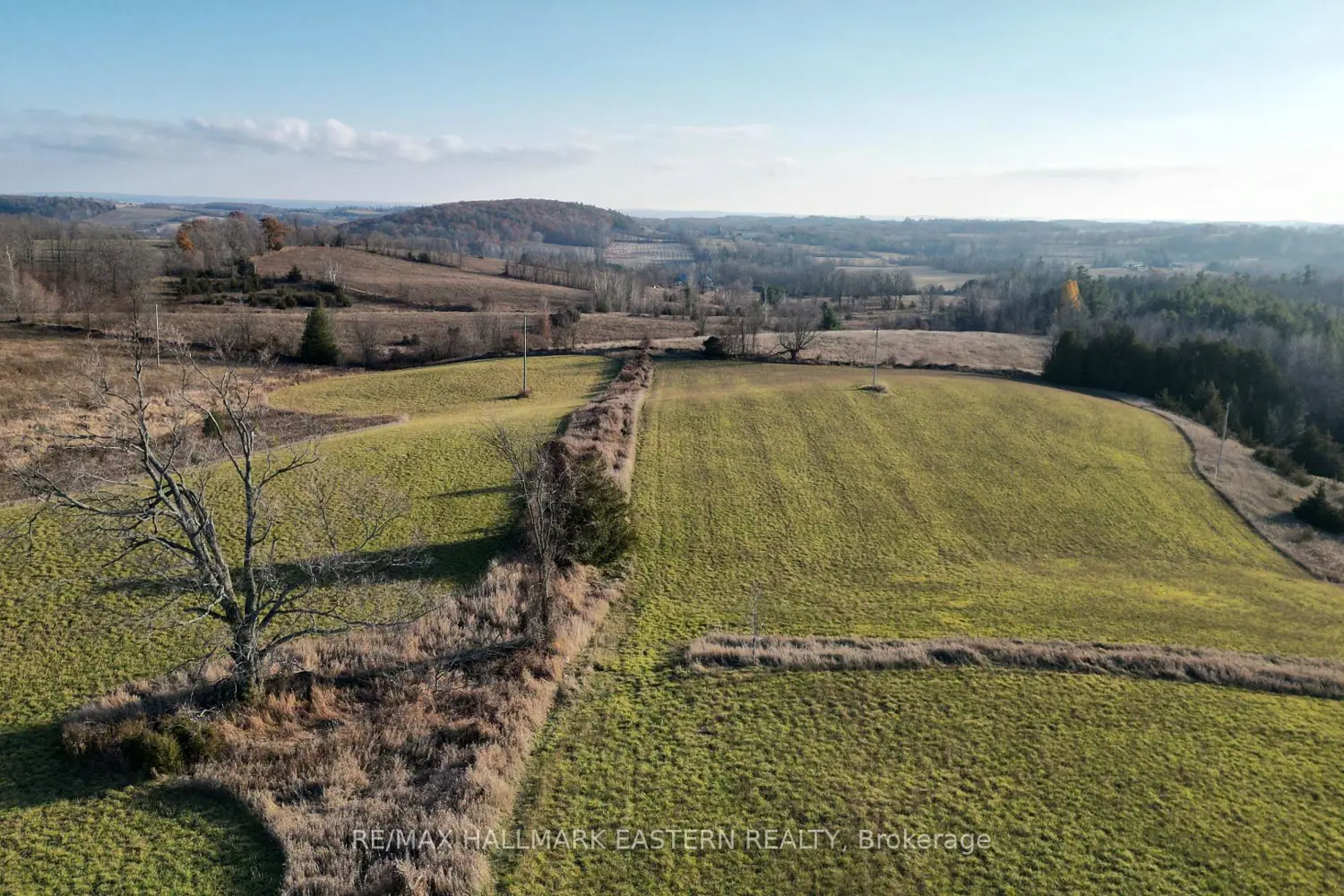 Additional image 18 of 461 Concession 11