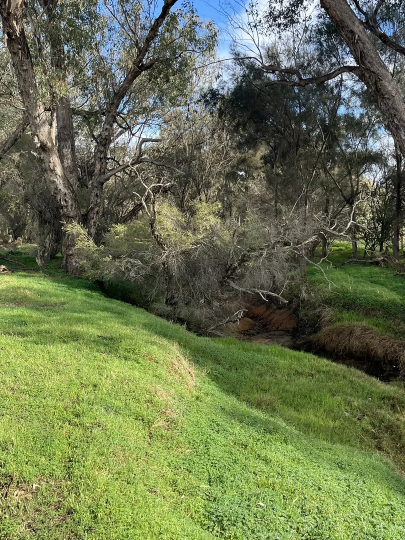 Additional image 6 of 1872 Spencers Brook Road, Mokine WA 6401