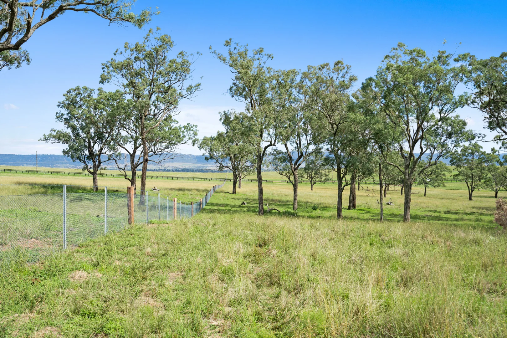Additional image 15 of Bakewell Circuit, Scone NSW 2337