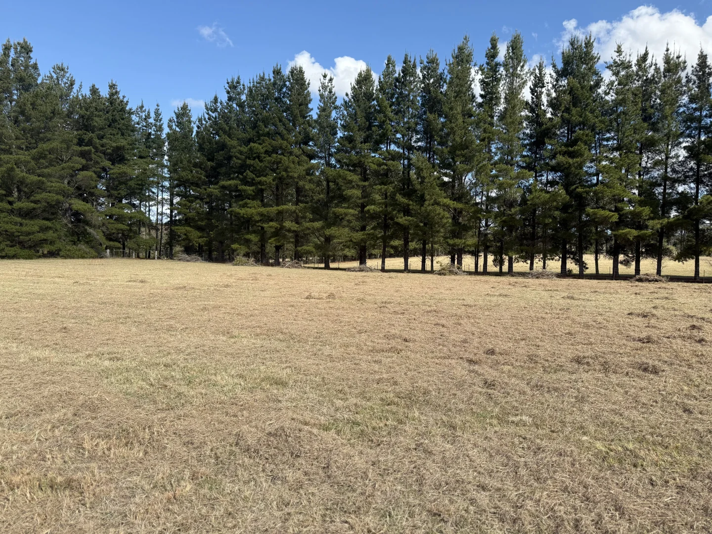 Additional image 29 of 489 Jacqua Rd, Windellama NSW 2580