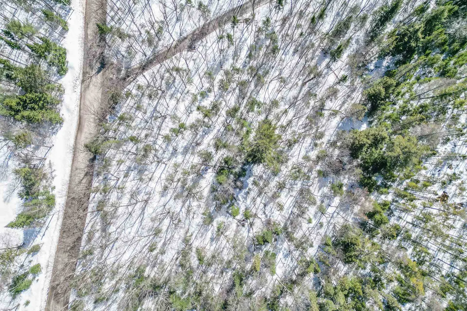 Additional image 5 of 989 North Waseosa Lake Road