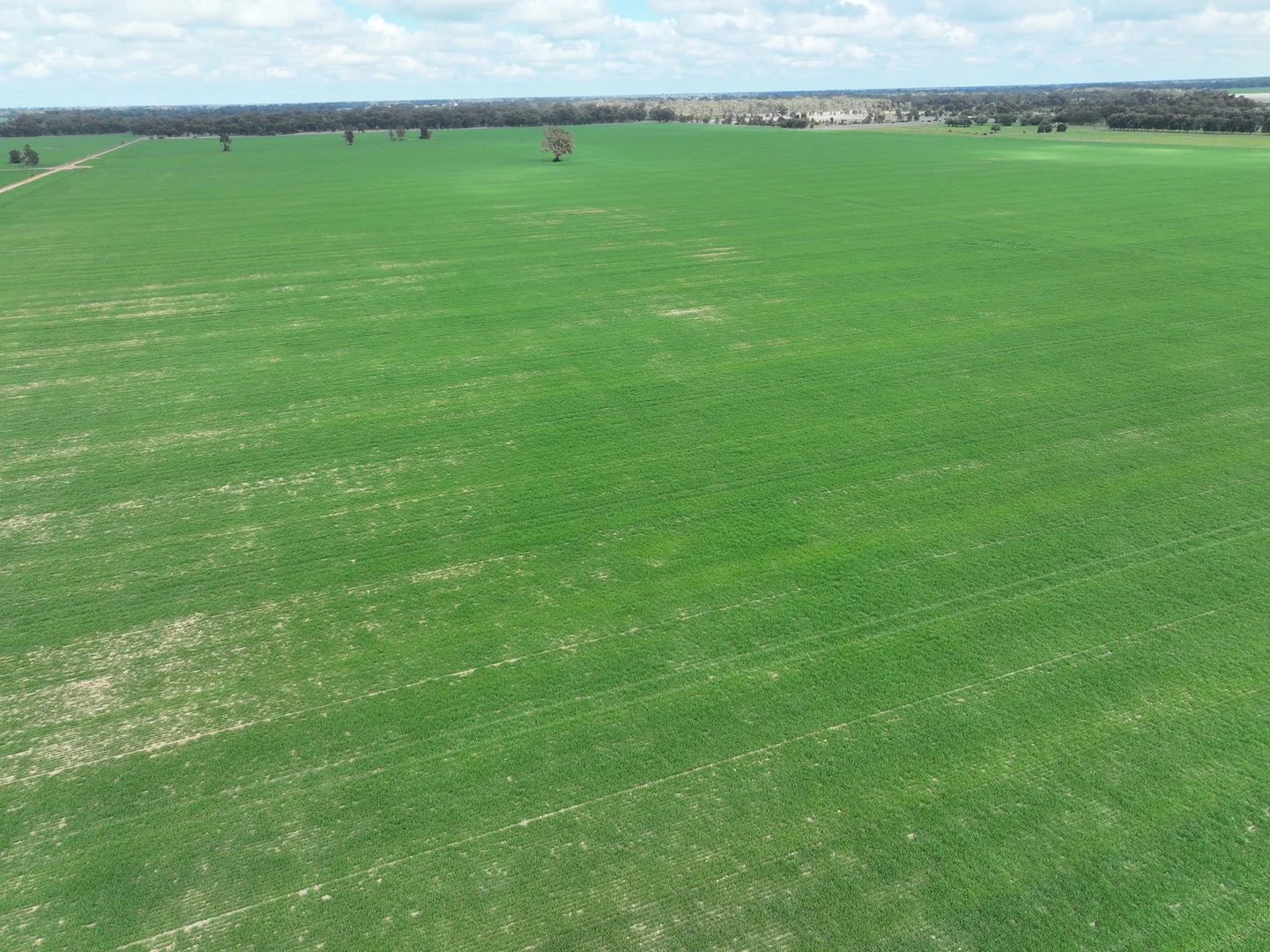 Additional image 4 of 0 Labuan Road, Numurkah VIC 3636