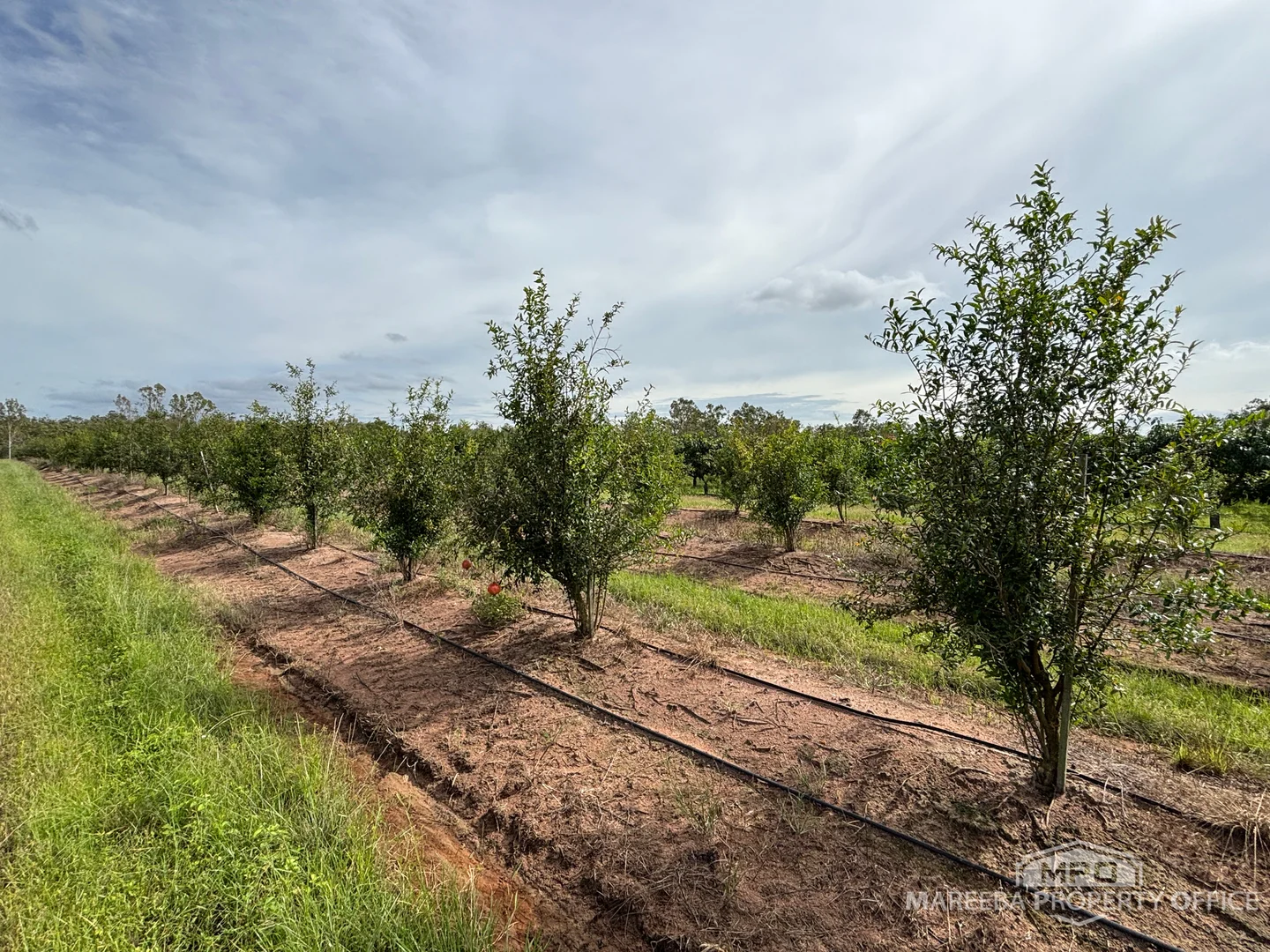 Additional image 7 of 446 Chewko Road, Mareeba QLD 4880