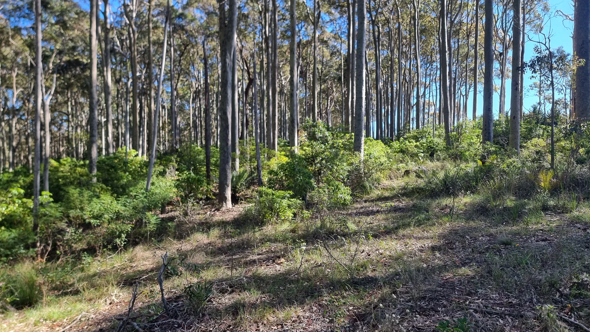 Additional image 8 of 16 Mystery Bay Road, Mystery Bay NSW 2546