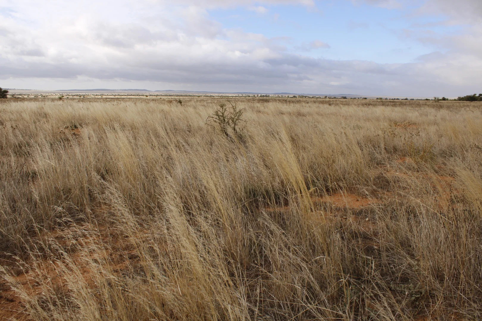 Additional image 57 of 1860 Cleary Road, Terowie SA 5421