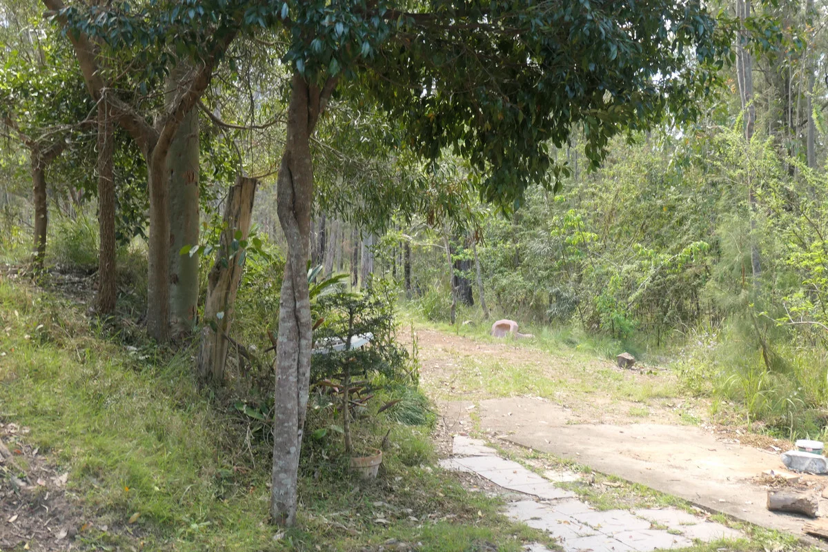 Additional image 22 of Lot 5 Long Gully Road, Drake NSW 2469