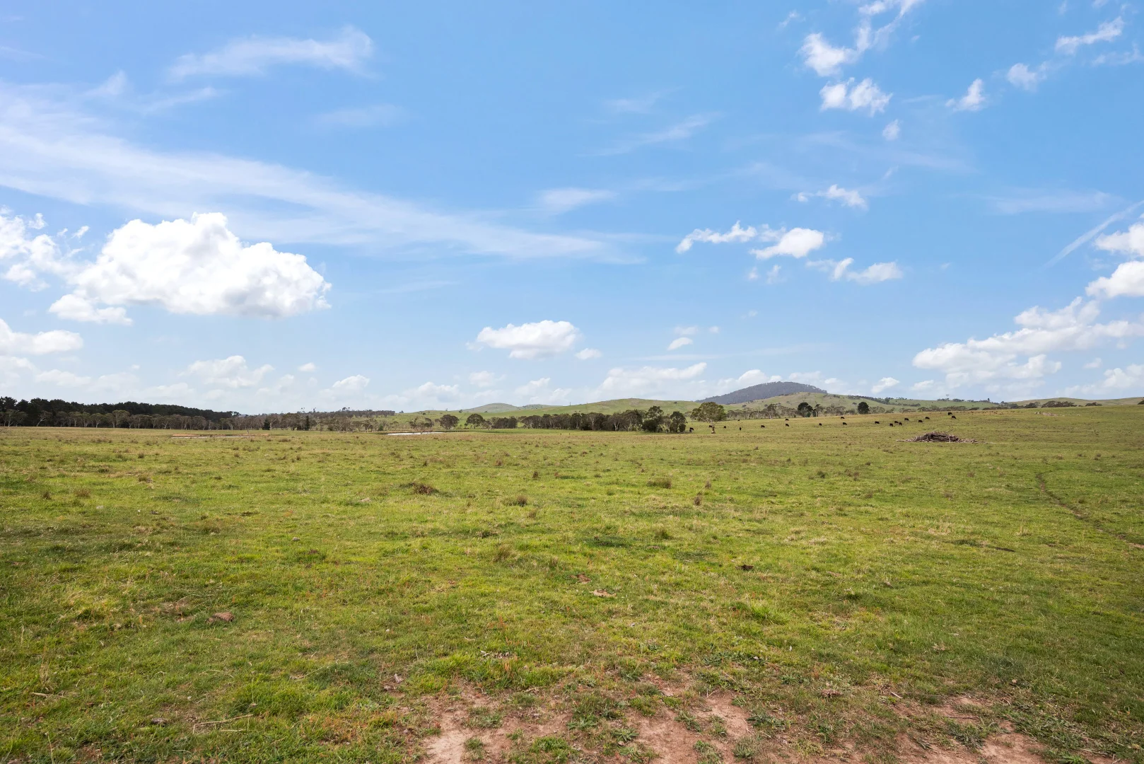 Additional image 20 of 536 Cooma Road, Braidwood NSW 2622