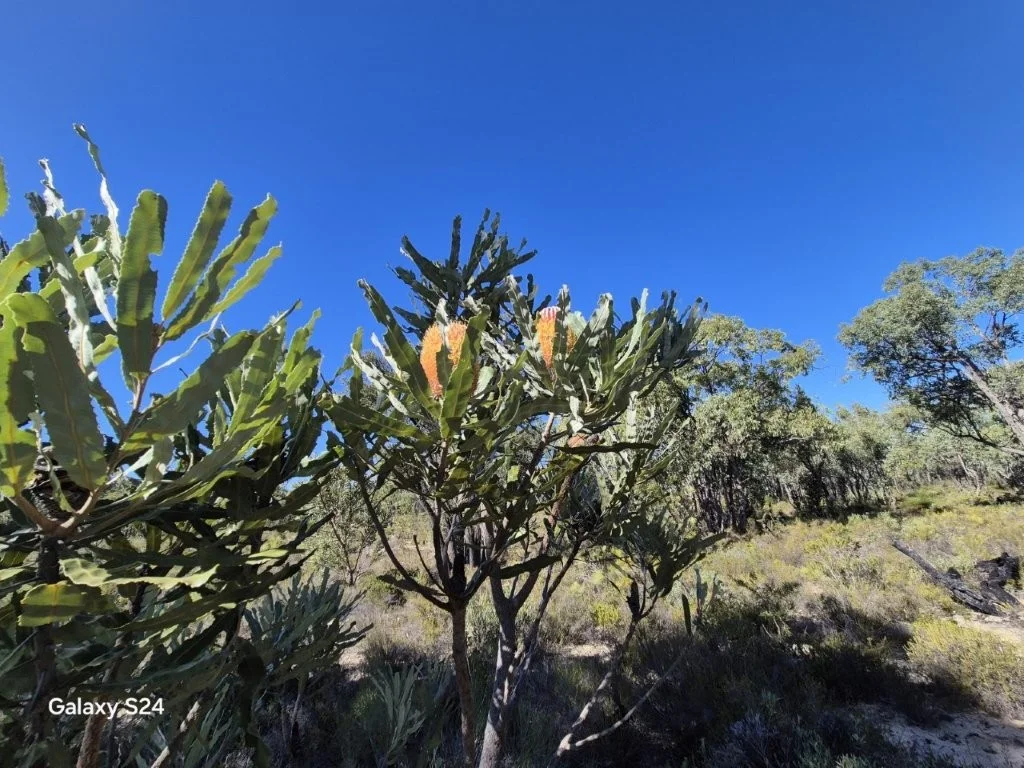 Additional image 5 of 777 Teatree Road, Bindoon WA 6502