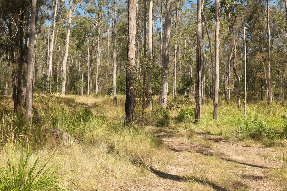 Additional image 29 of Lot 5 Long Gully Road, Drake NSW 2469