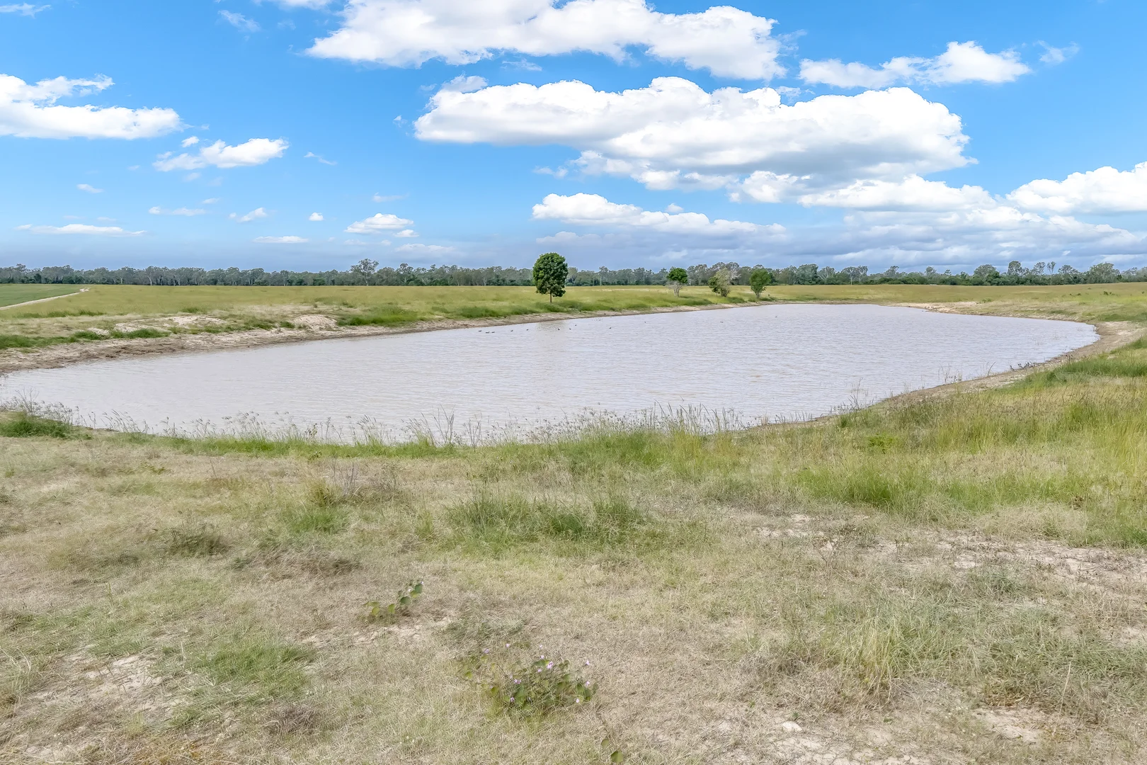 Additional image 11 of 1670 Rosedale Road, Avondale QLD 4670