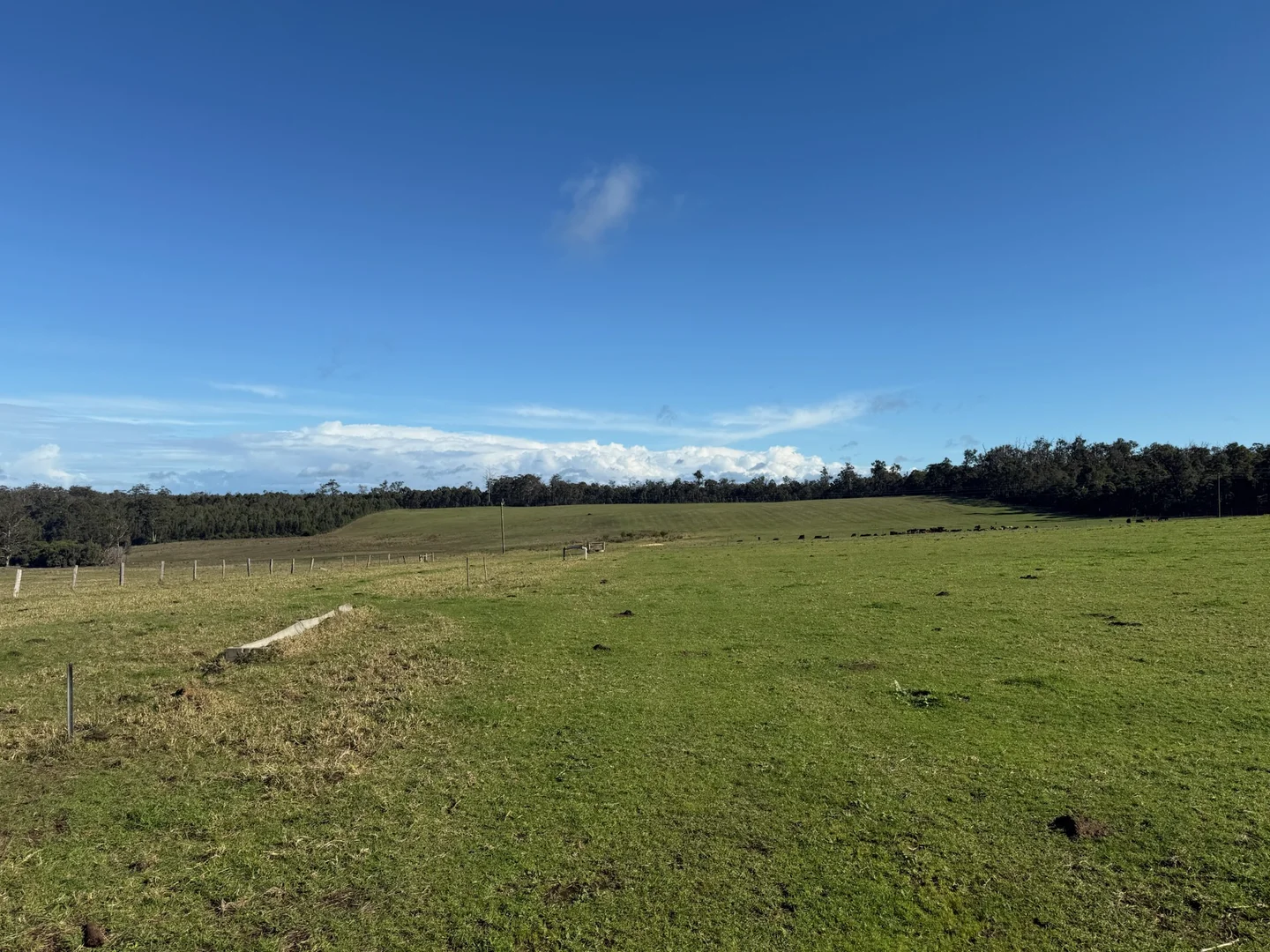 Additional image 21 of 228 Peppermint Grove Road, Middlesex WA 6258