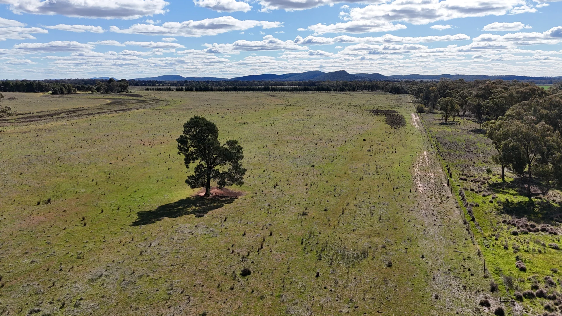 Additional image 46 of 3544 Henry Parkes Way, Bogan Gate NSW 2876