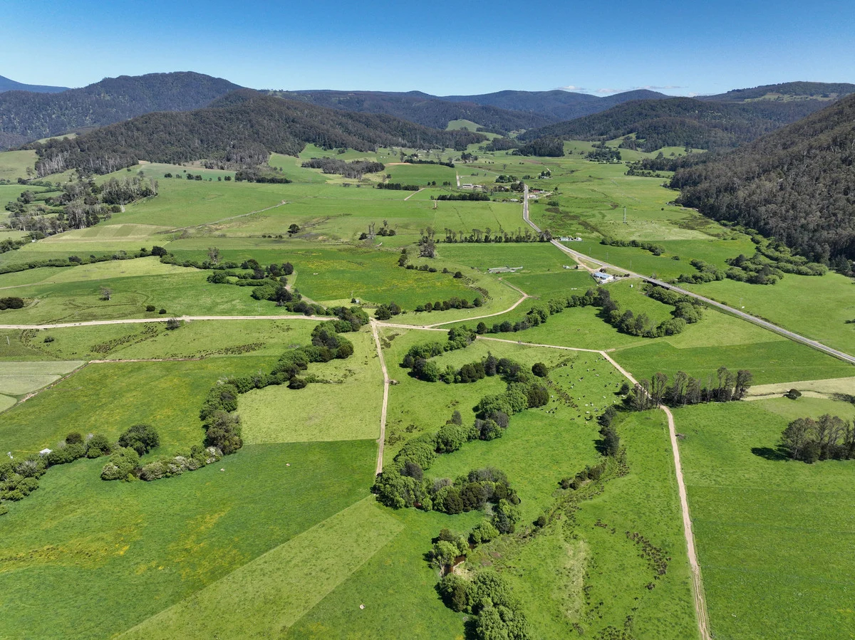 Additional image 27 of 569 St Columba Falls Road, Pyengana TAS 7216