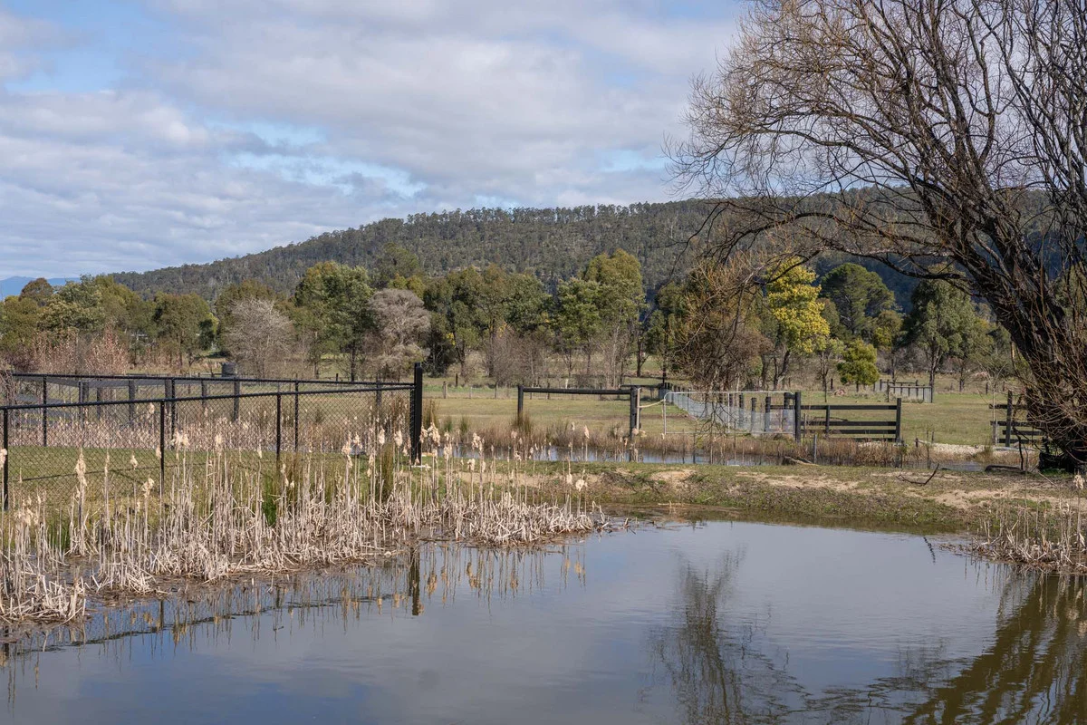 Additional image 20 of 1470 Birralee Road, Birralee TAS 7303