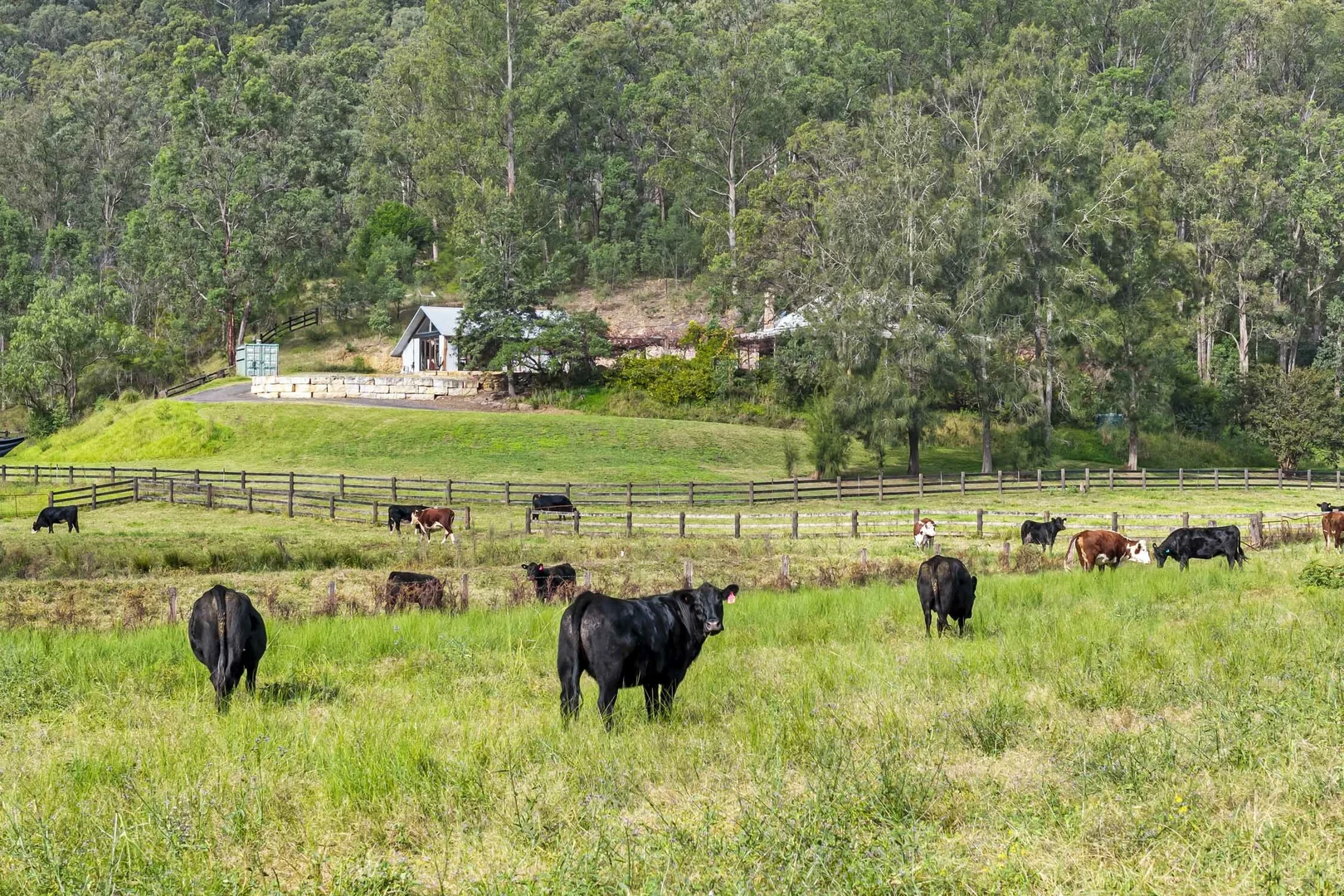 Additional image 16 of 1136 Upper Macdonald Rd, Upper Macdonald NSW 2775