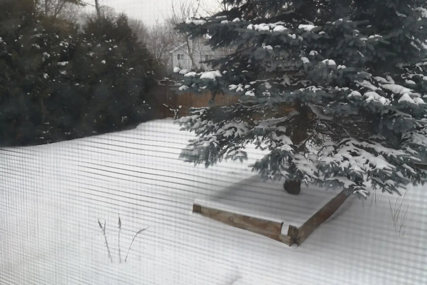 Additional image 10 of 16 Wellington Street