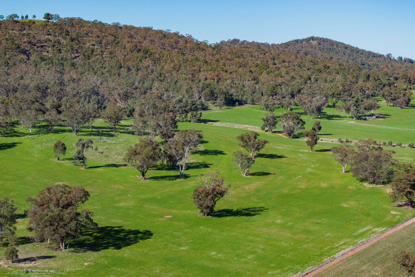 Additional image 7 of 945 The Gap Road, Wagga Wagga NSW 2650
