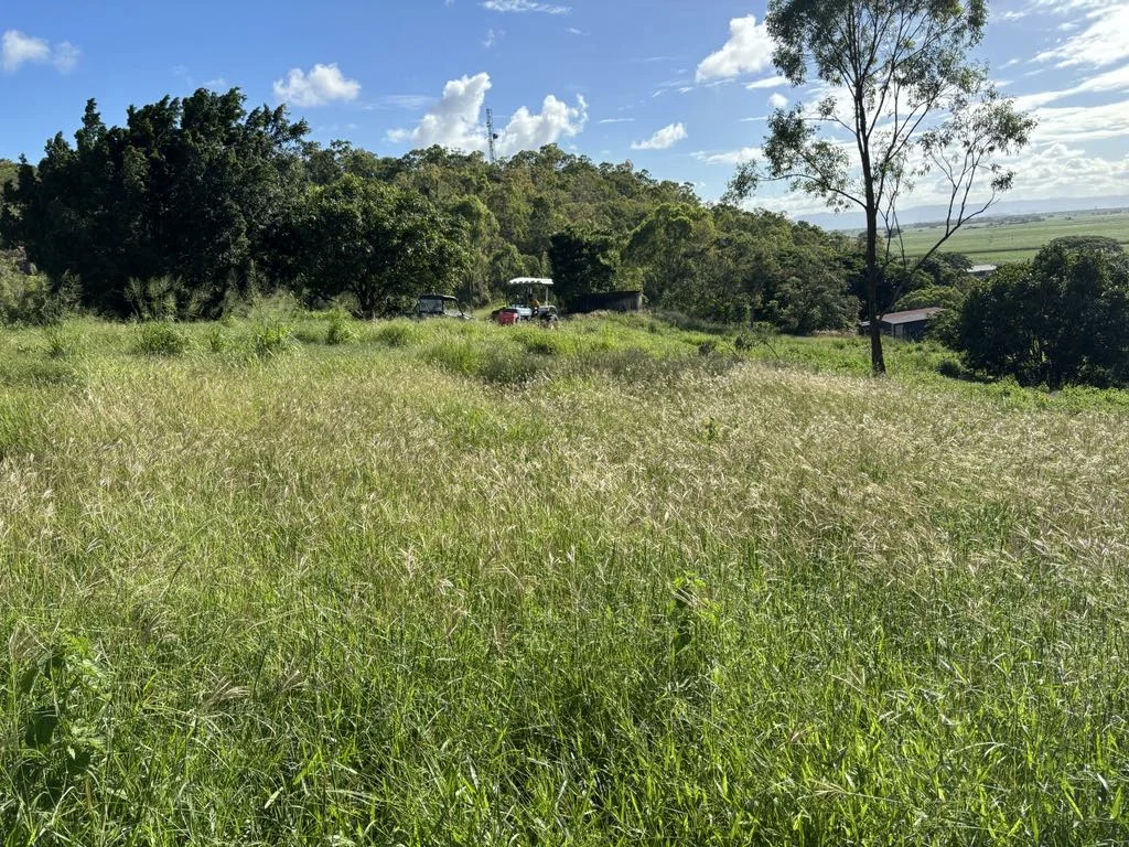 Additional image 22 of 25 Lions Lookout Road, Blackrock QLD 4850