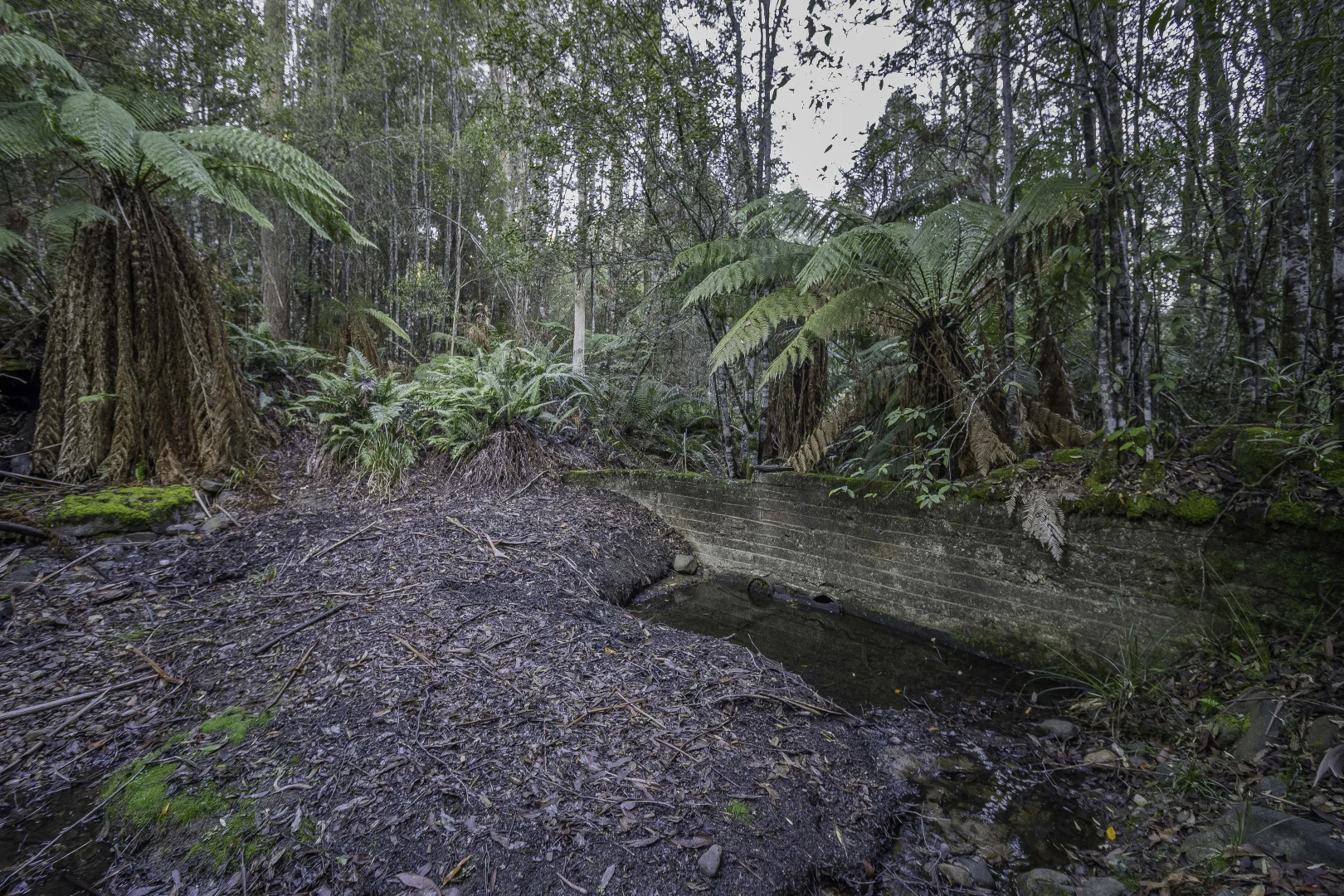 Additional image 11 of Judbury TAS 7109
