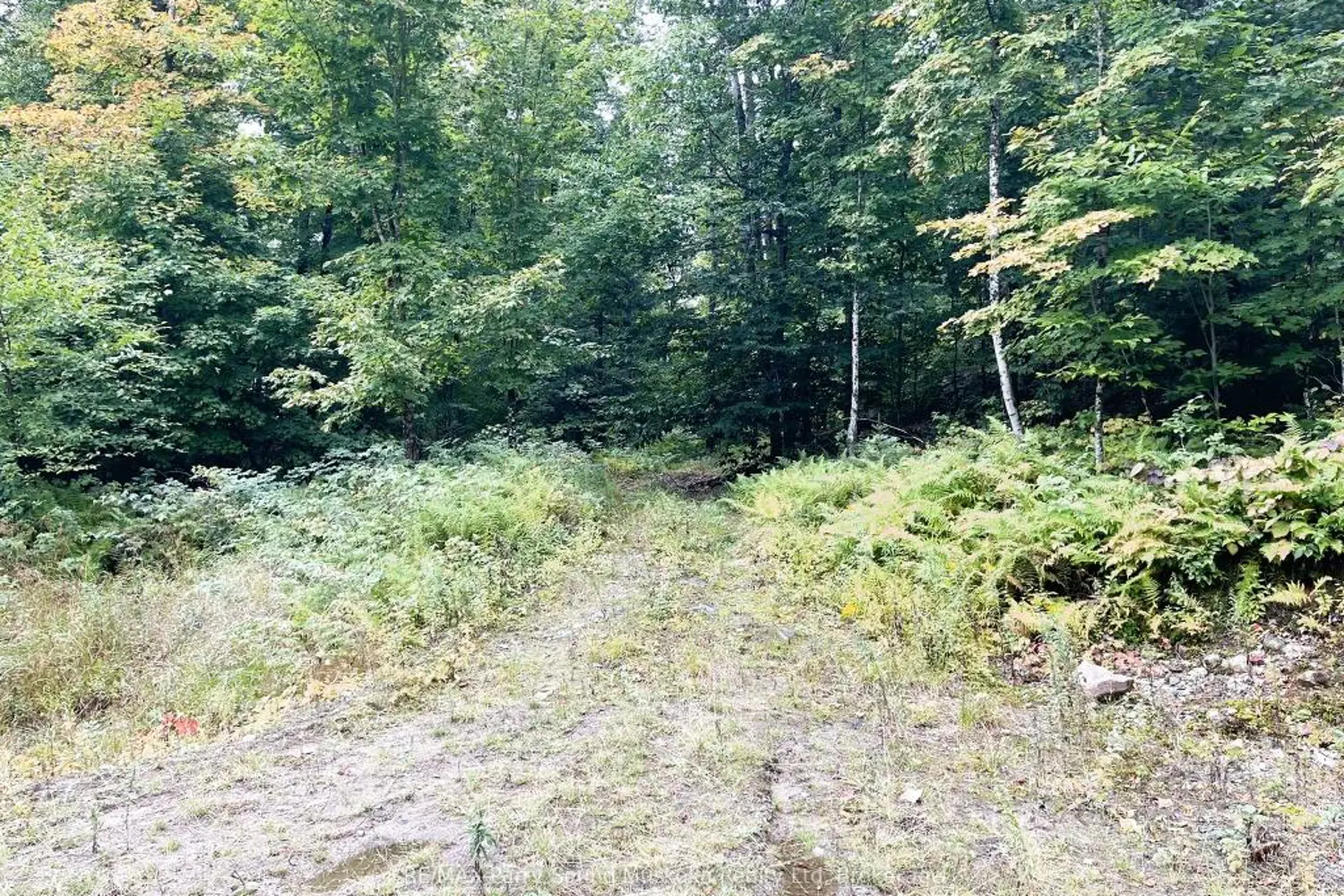 Additional image 7 of 75 Granite Drive