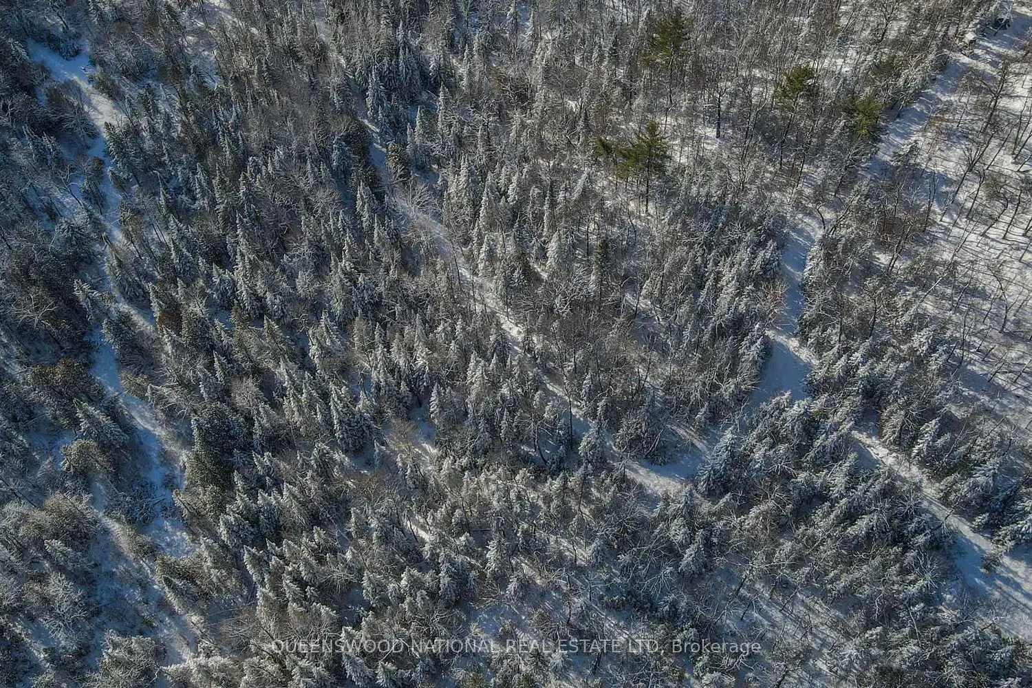 Additional image 13 of 205 Rockingham Road