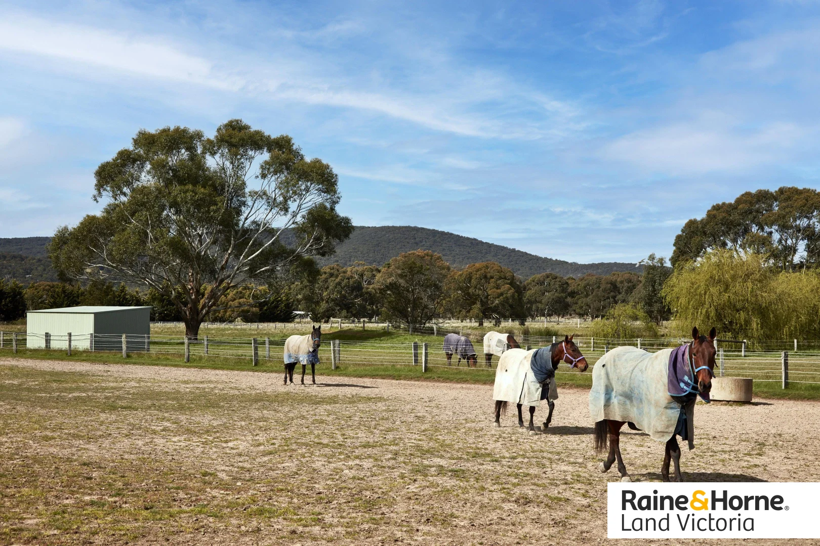 Additional image 28 of 96 Barringo Road, New Gisborne VIC 3438