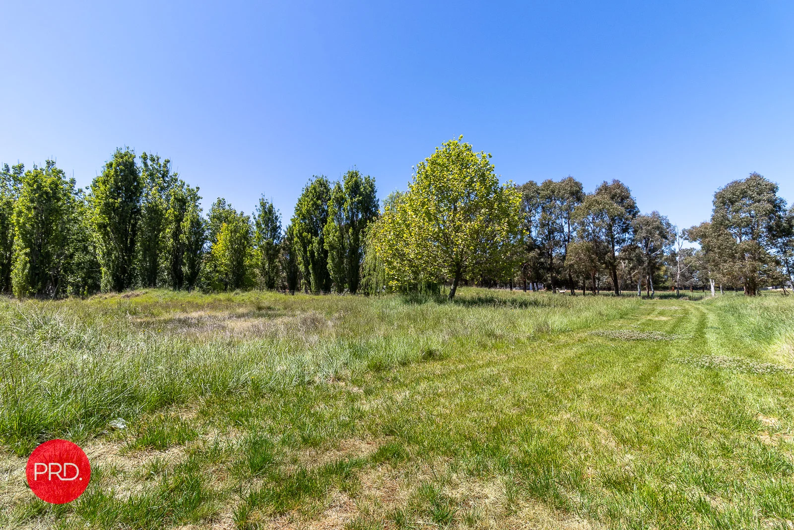 Additional image 7 of Ellendon Street, Bungendore NSW 2621