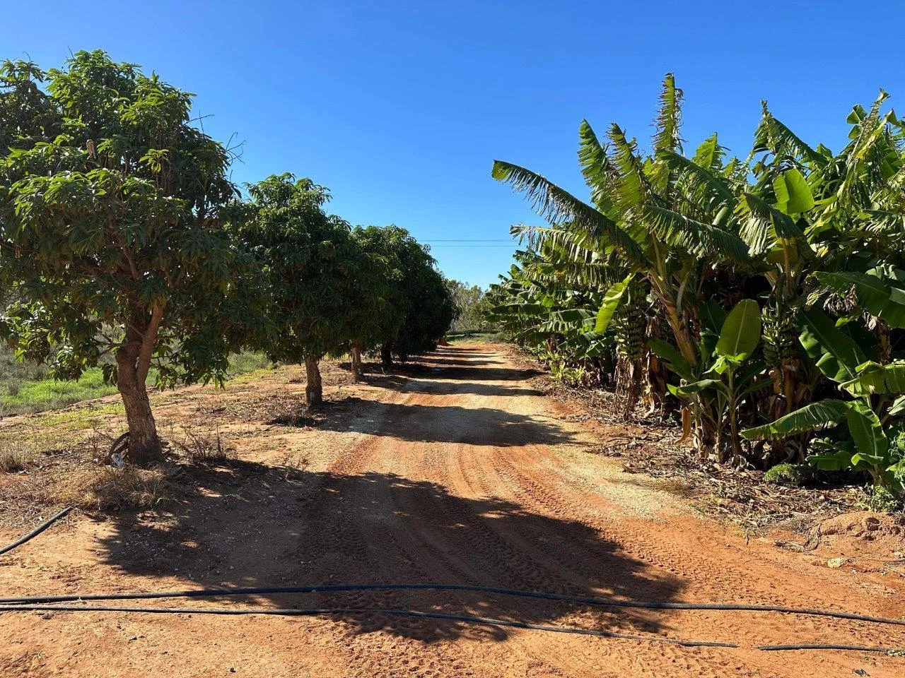 Additional image 24 of 11 Bibbawarra Road, Kingsford WA 6701