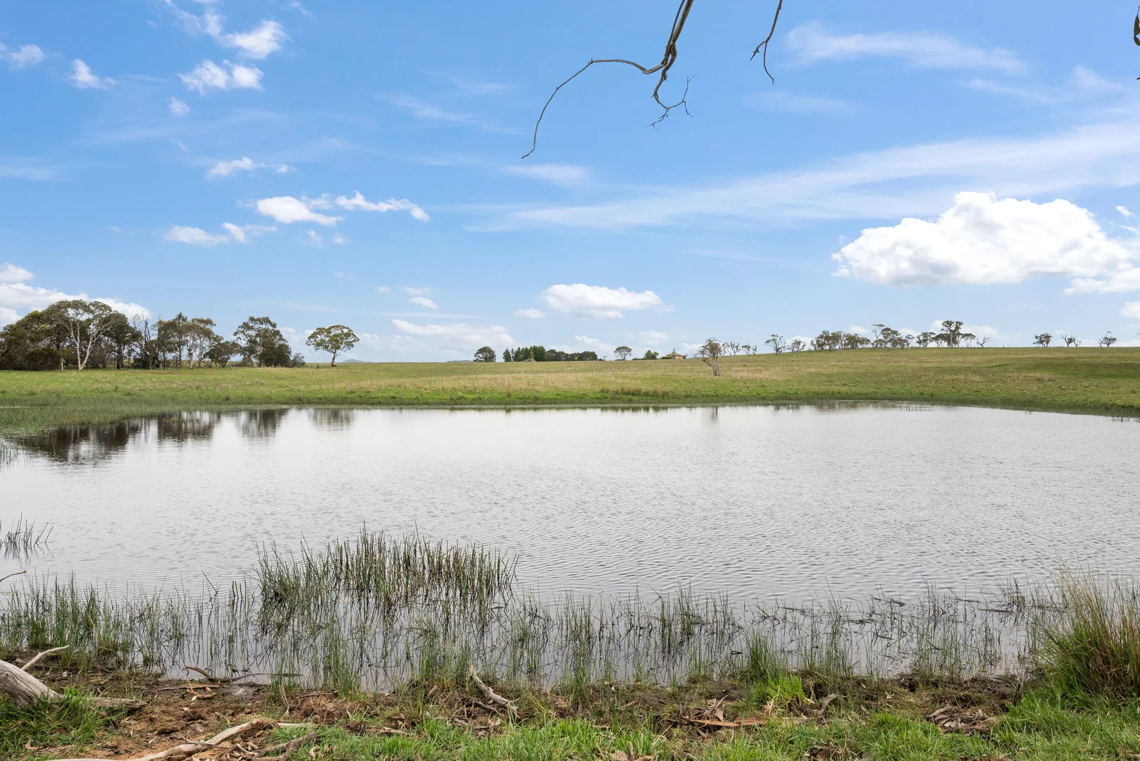 Additional image 26 of 536 Cooma Road, Braidwood NSW 2622