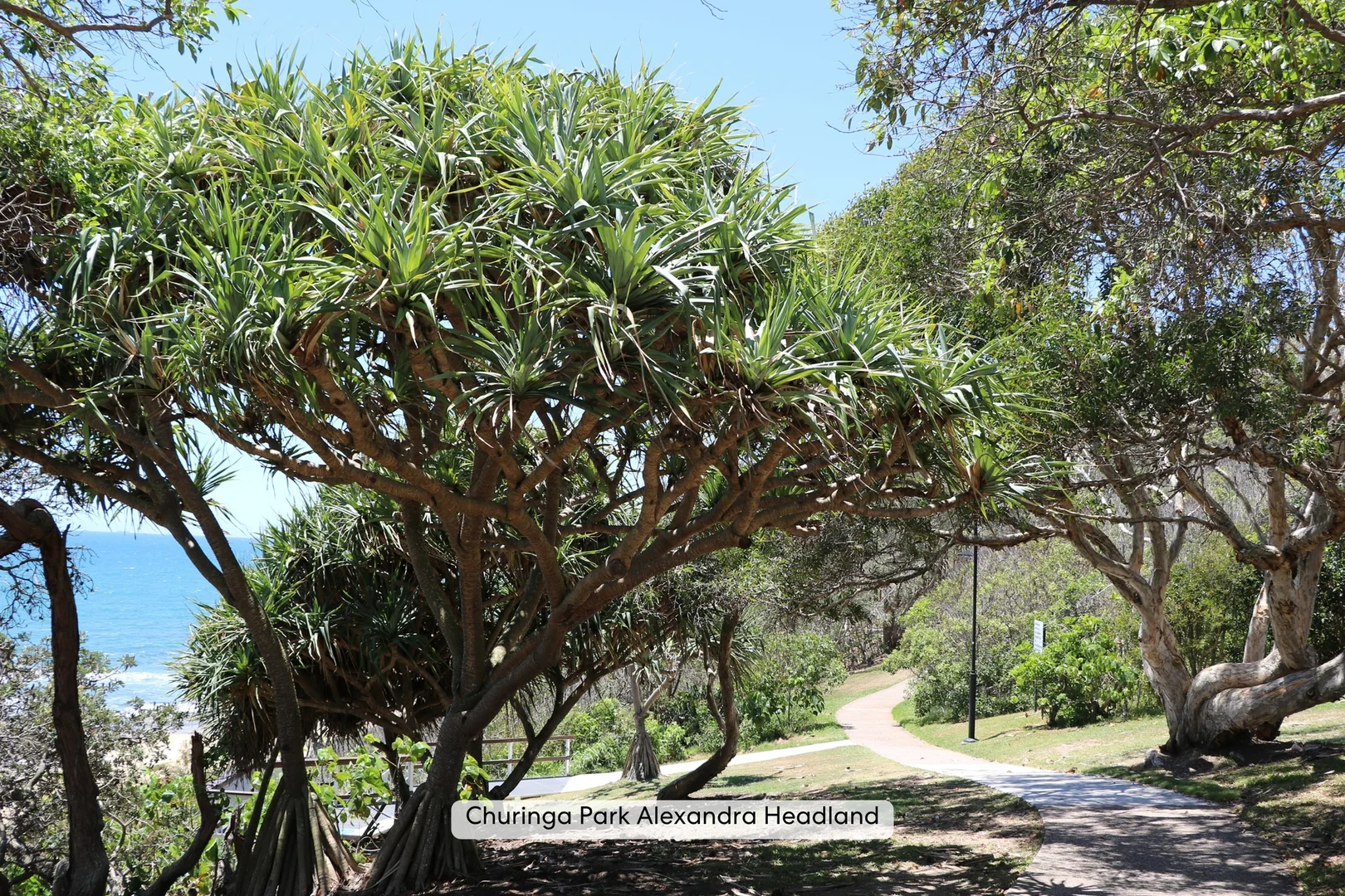 Additional image 11 of 2 Woyin Street, Alexandra Headland QLD 4572