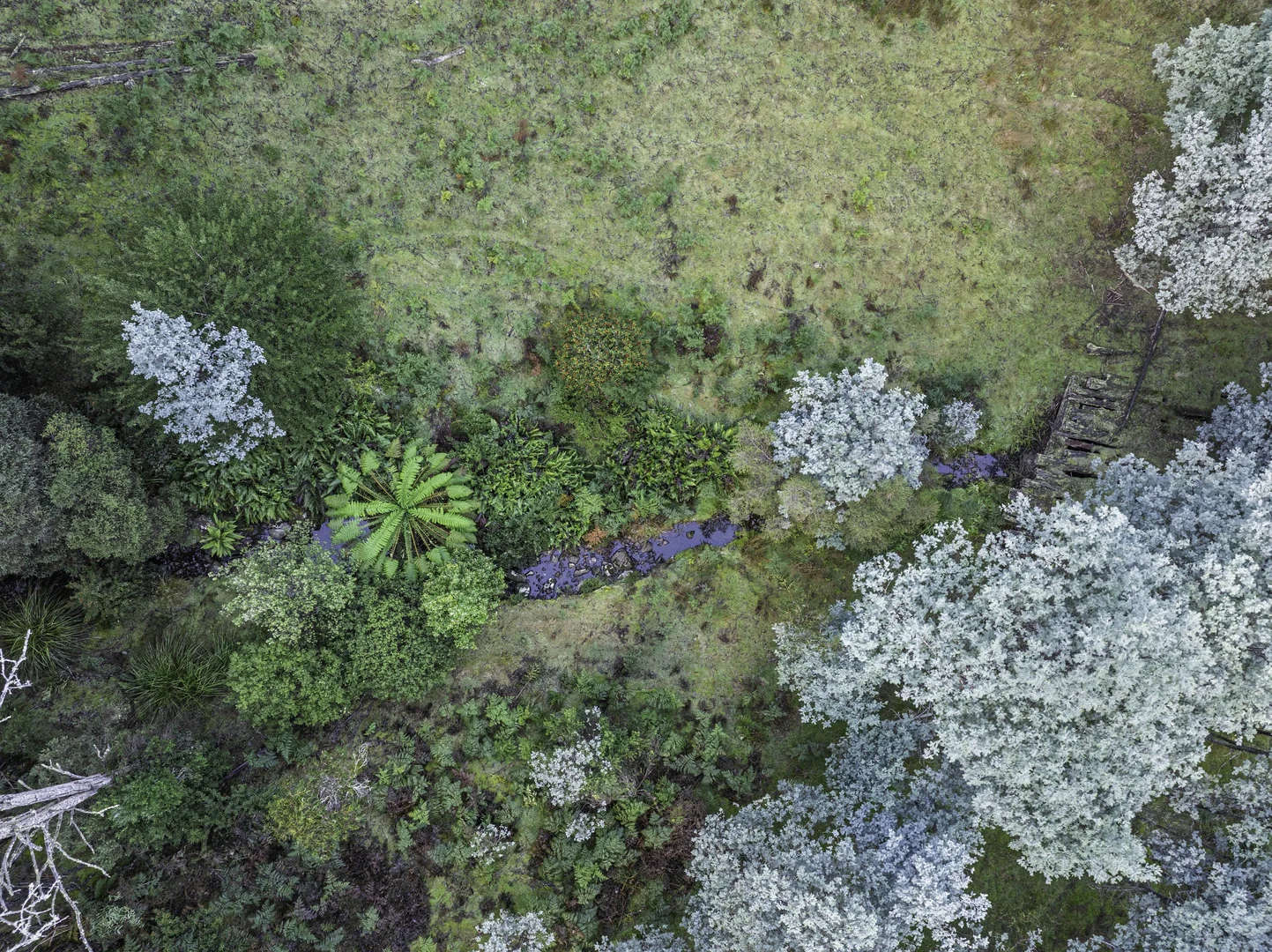 Additional image 2 of Judbury TAS 7109