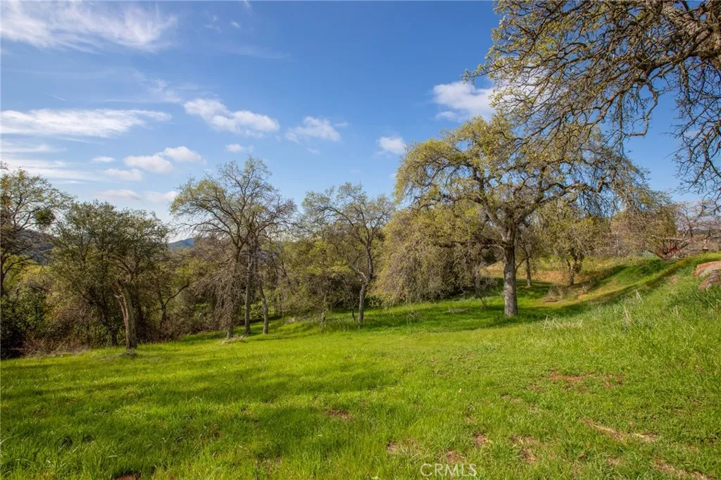 Additional image 57 of 49980 Daffodil Ln, Squaw Valley, CA 93675