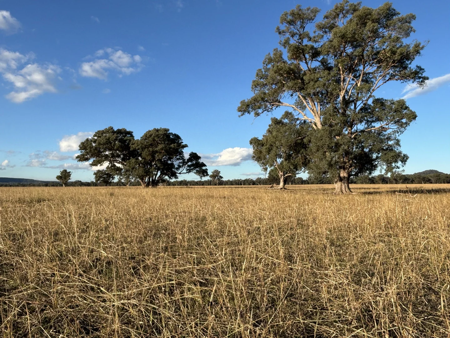 Additional image 19 of 2824 Neilrex Road, Coolah NSW 2843