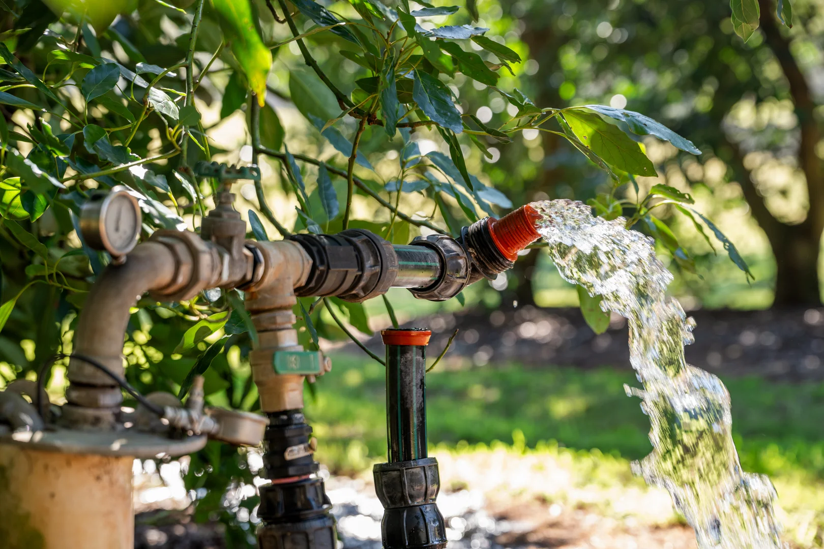 Additional image 7 of 'Ravensbourne Ridge' 45 Blanck Road, Ravensbourne QLD 4352